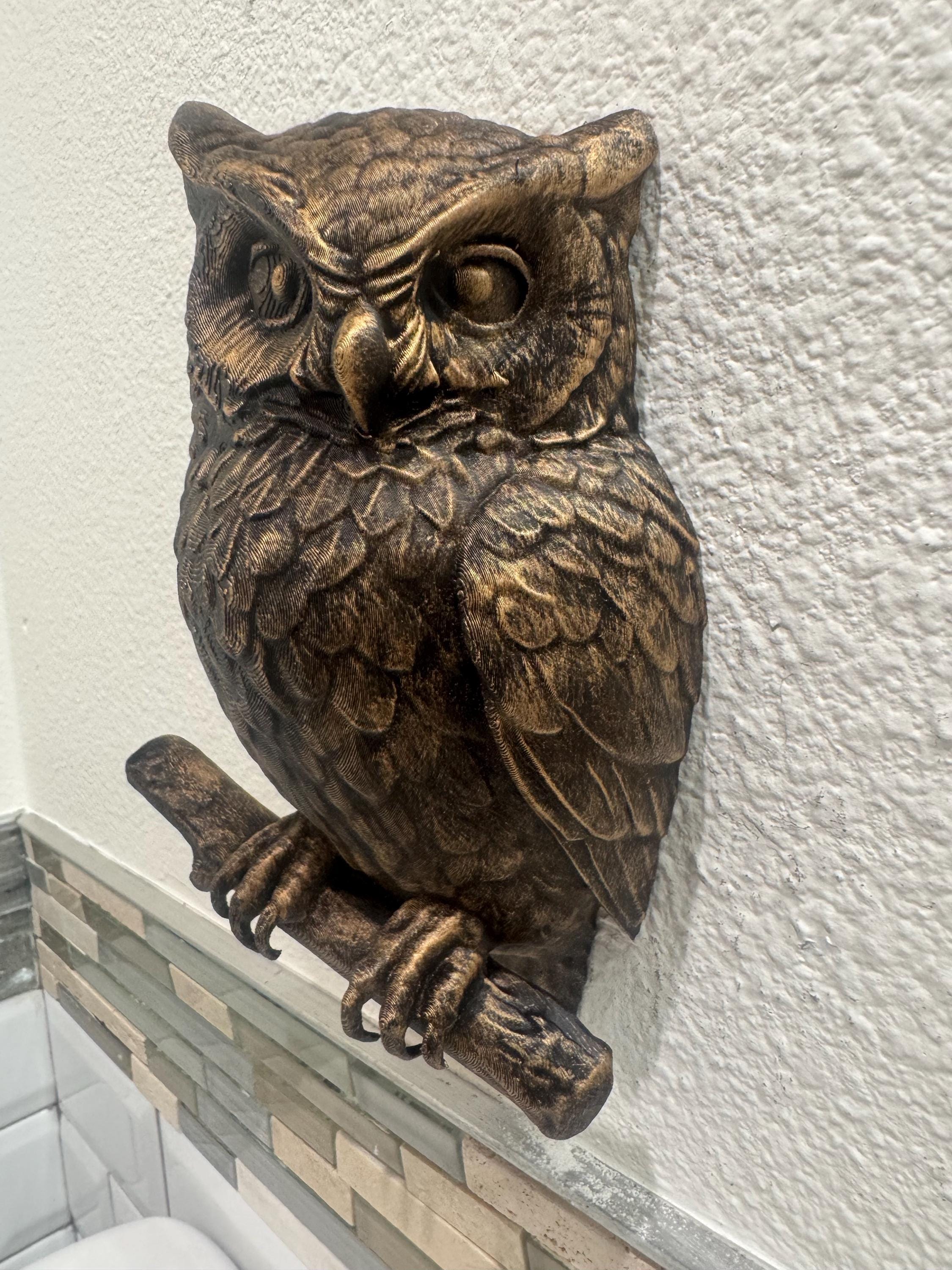 Owl Wall Sculpture – Hand Painted Bird on Branch | Rustic Wildlife Wall Art | Owl Decor Gift for Home or Office | Owl Wall Sculpture