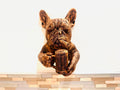 French Bulldog Wall Sculpture | Cigar & Beer Mug Dog Art | Funny Bar Decor | Man Cave Gift | Rustic Bulldog Wall Mount | Pub Wall Art