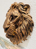 Left side profile of the lion head sculpture showing depth