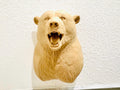 Roaring Bear Wall Sculpture | Brown Rustic Wildlife Wall Art | Cabin Nature Decor | Burly Wood Bear Grizzly Head for Lodge or Home