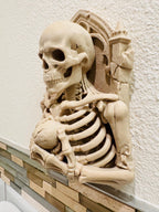 Left side angle of the skeleton bust showing skull profile and arch depth