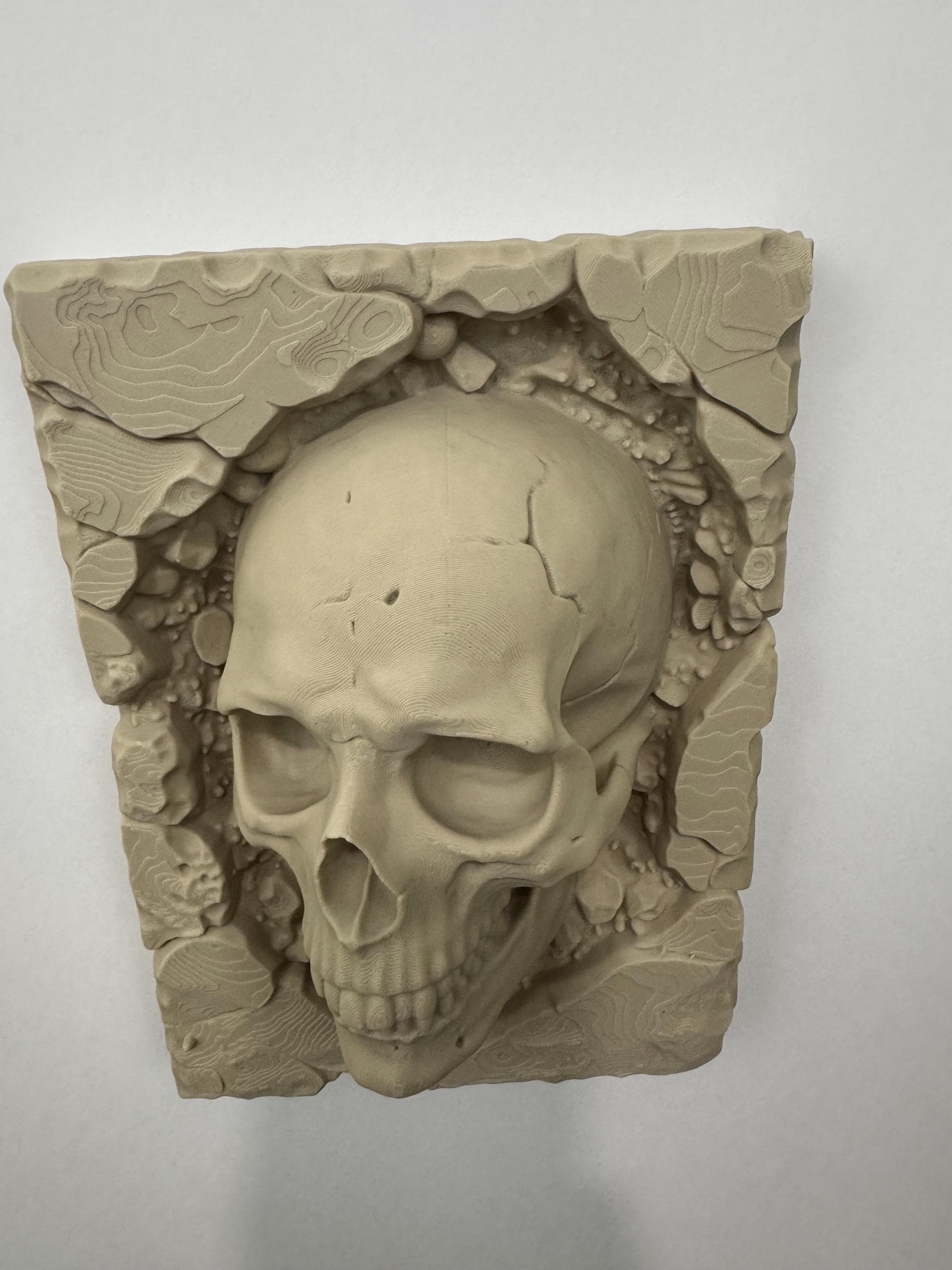 Skull Wall Art - Gothic Home Decor - Anatomical Human Skull Sculpture - Dark Fantasy Wall Plaque - Macabre Stone Style Art - Unique Gift