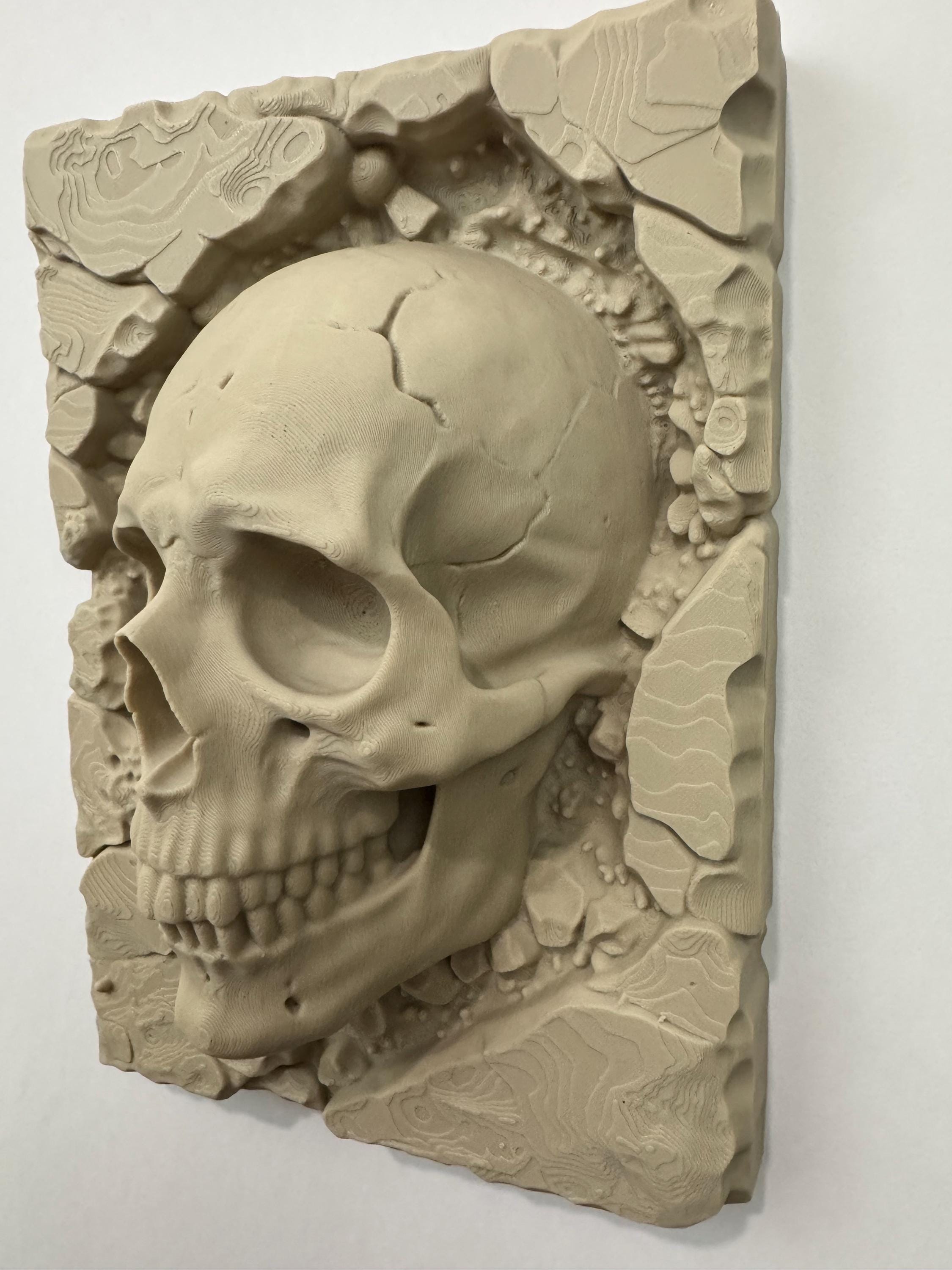 Skull Wall Art - Gothic Home Decor - Anatomical Human Skull Sculpture - Dark Fantasy Wall Plaque - Macabre Stone Style Art - Unique Gift