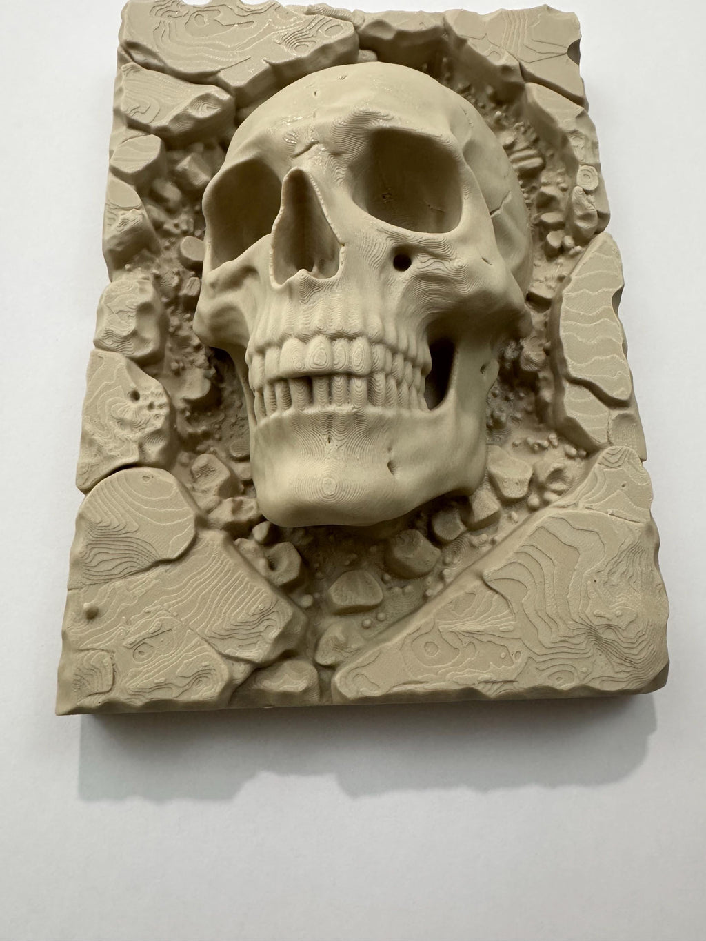 Skull Wall Art - Gothic Home Decor - Anatomical Human Skull Sculpture - Dark Fantasy Wall Plaque - Macabre Stone Style Art - Unique Gift