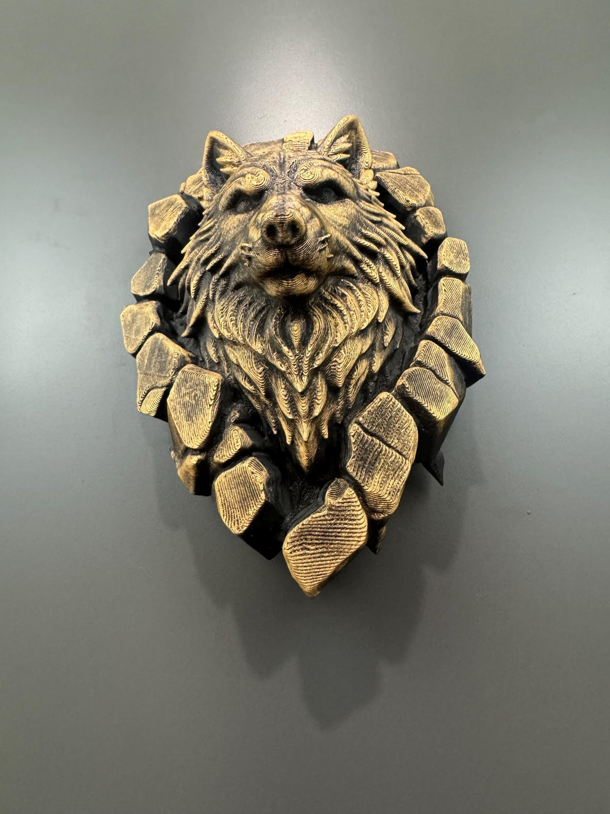 Close front view of the gold wolf's face and fur inside the broken stone ring