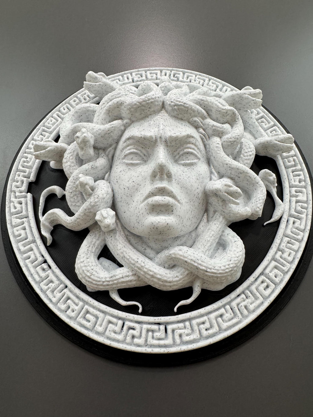 Medusa Wall Art Gorgon Greek Mythology Sculpture Stone Style Gothic Home Decor Dark Academia Plaque Greek Myth Head Hanging