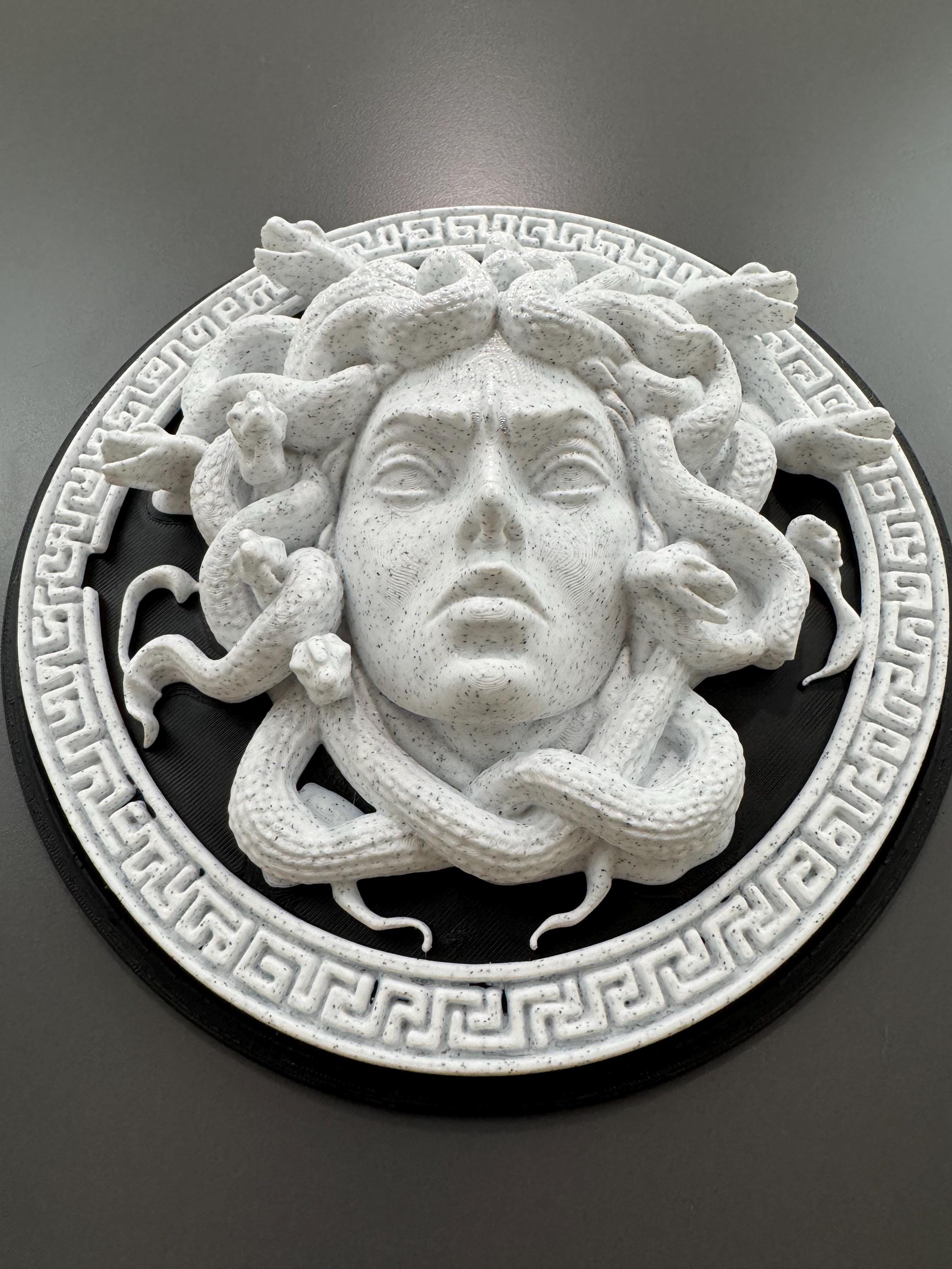 Medusa Wall Art Gorgon Greek Mythology Sculpture Stone Style Gothic Home Decor Dark Academia Plaque Greek Myth Head Hanging