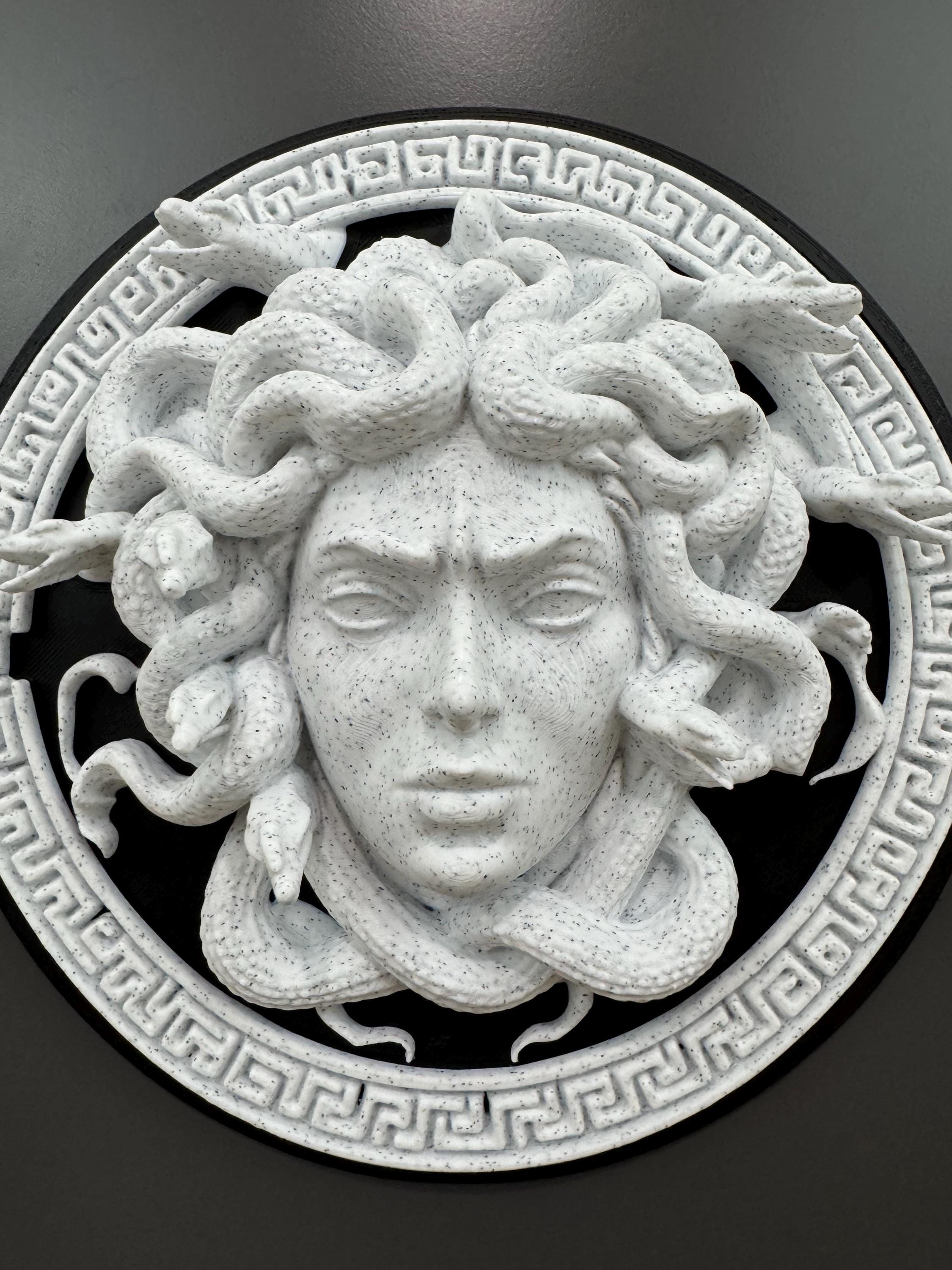 Medusa Wall Art Gorgon Greek Mythology Sculpture Stone Style Gothic Home Decor Dark Academia Plaque Greek Myth Head Hanging