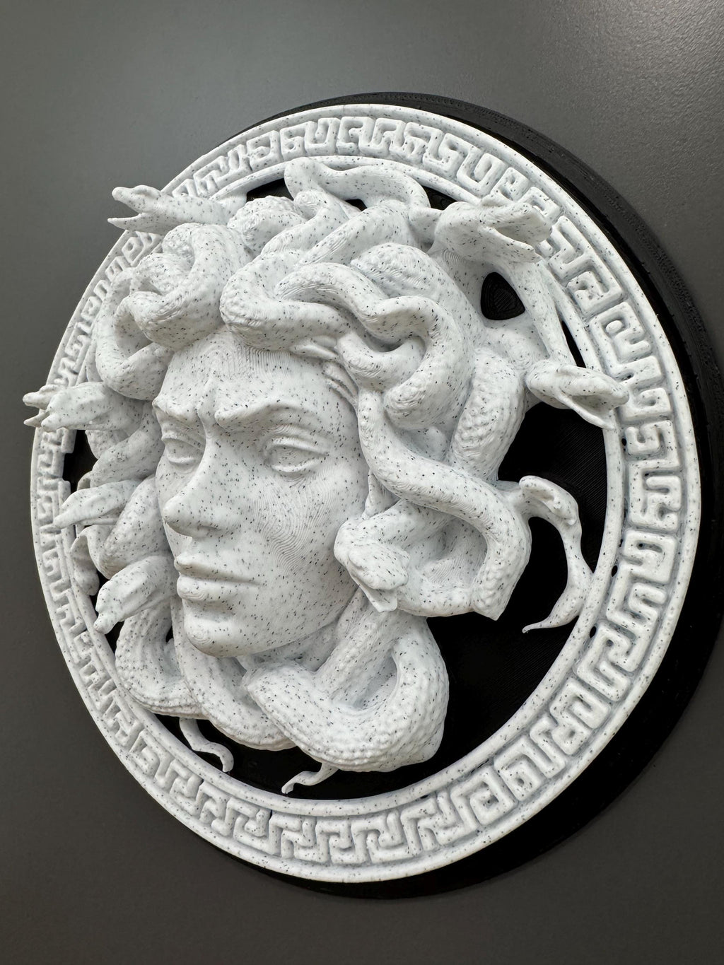 Medusa Wall Art Gorgon Greek Mythology Sculpture Stone Style Gothic Home Decor Dark Academia Plaque Greek Myth Head Hanging