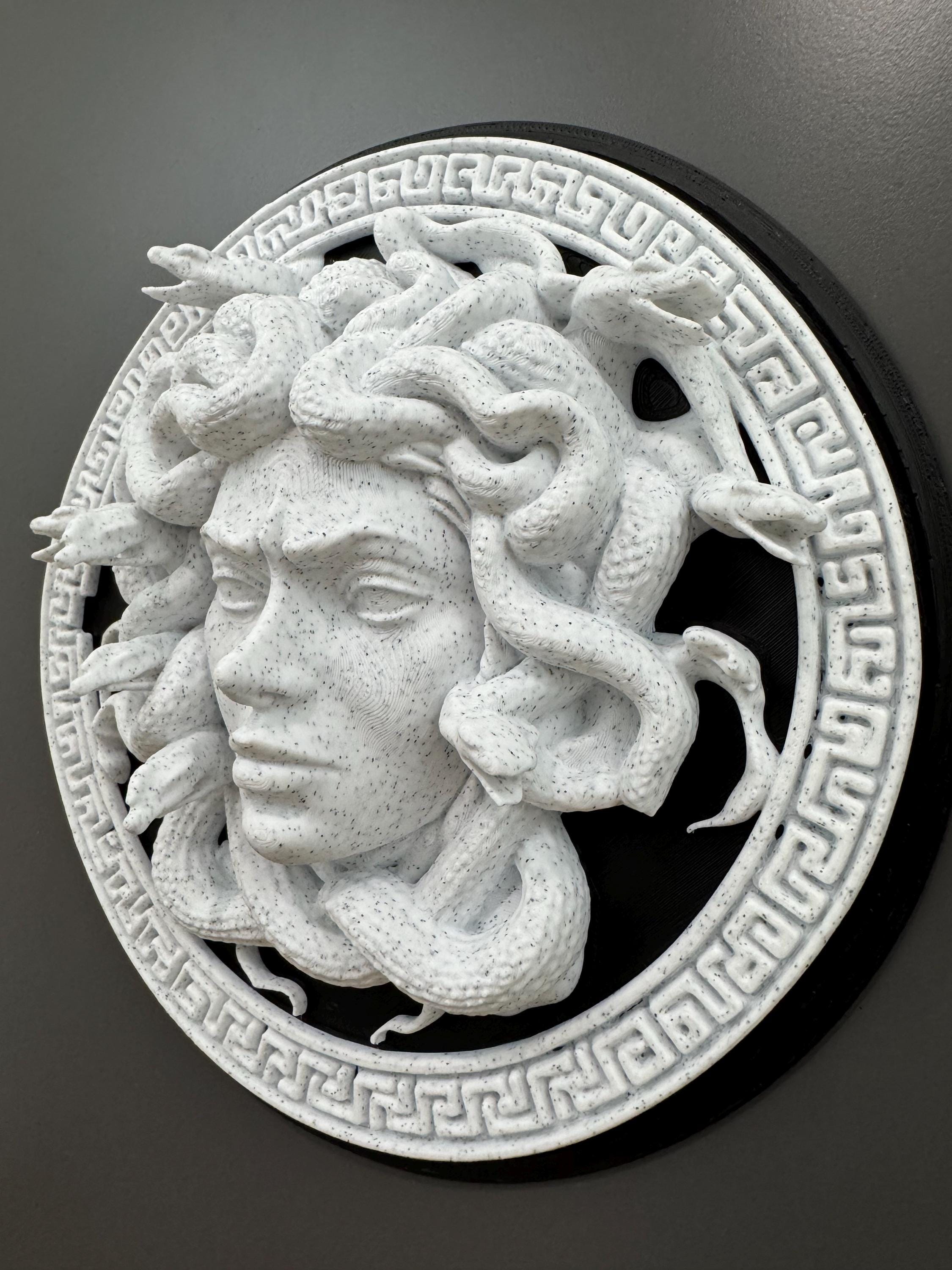 Medusa Wall Art Gorgon Greek Mythology Sculpture Stone Style Gothic Home Decor Dark Academia Plaque Greek Myth Head Hanging
