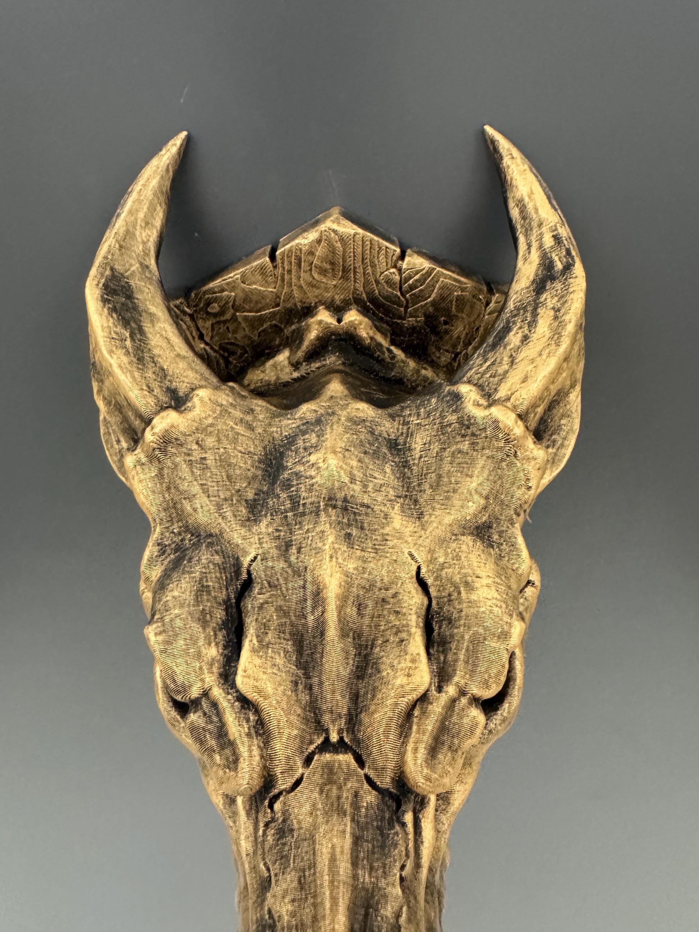 Dragon Skull Wall Mount | Gothic Fantasy Wall Decor | Mythical Beast Sculpture | Dark Academia Home Decor | Dragon Gift for Him