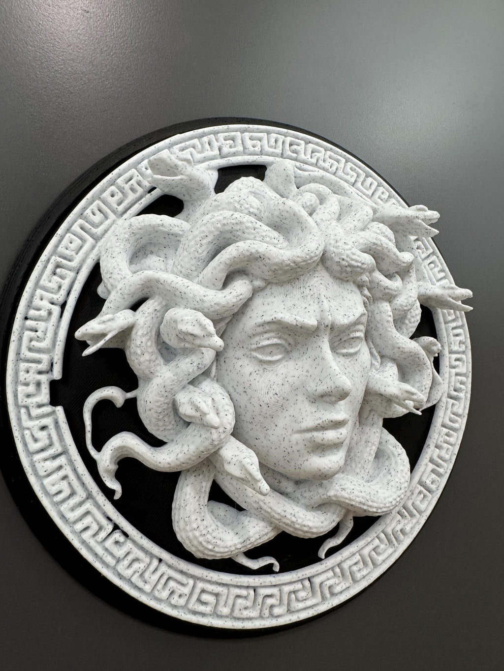 Medusa Wall Art Gorgon Greek Mythology Sculpture Stone Style Gothic Home Decor Dark Academia Plaque Greek Myth Head Hanging