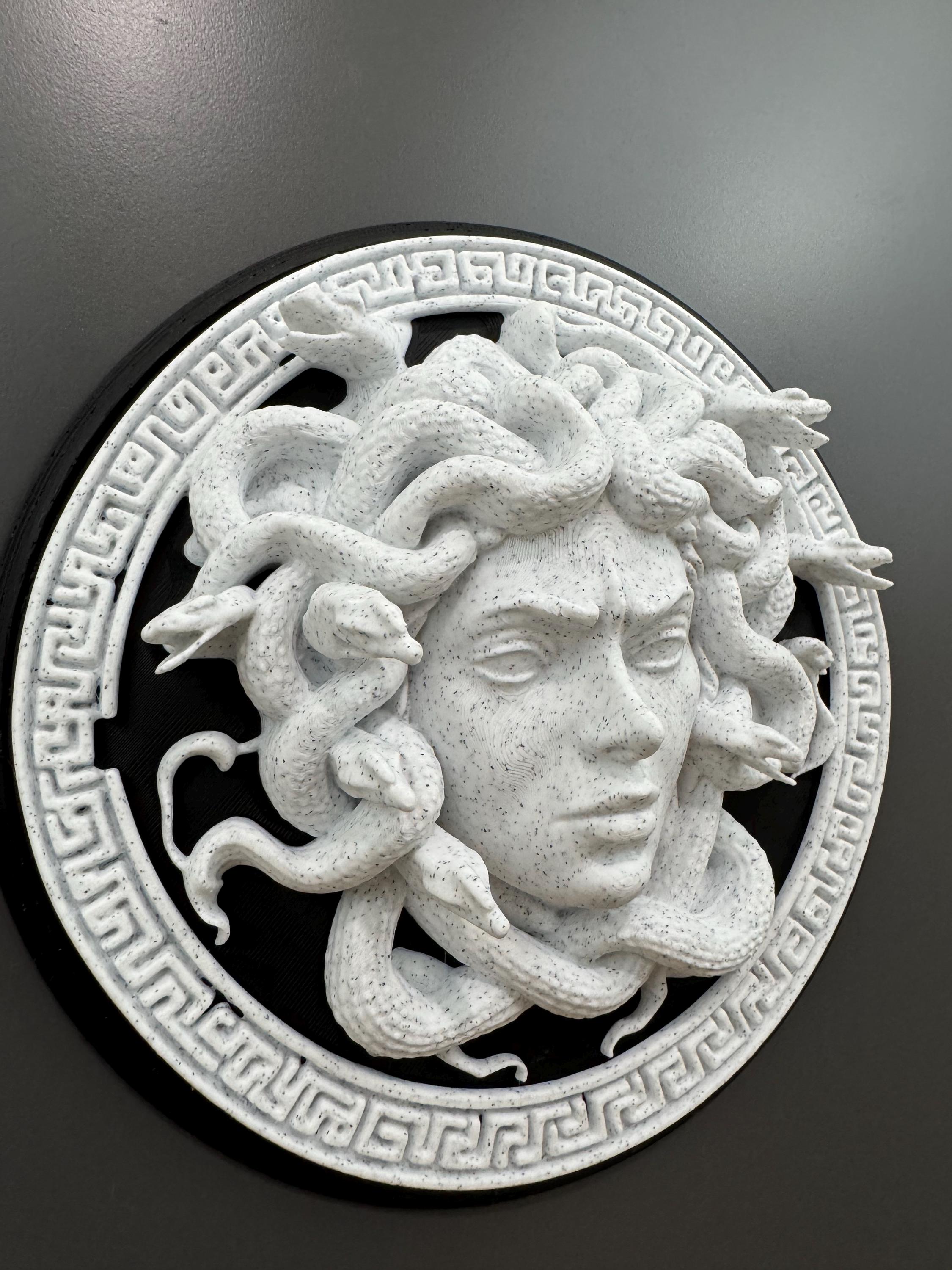 Medusa Wall Art Gorgon Greek Mythology Sculpture Stone Style Gothic Home Decor Dark Academia Plaque Greek Myth Head Hanging