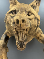 Close-up of the snarling wolf face and hand-finished antique gold texture