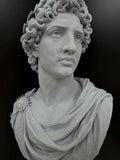 Apollo Statue Wall Sculpture | Greek Mythology Marble Bust | Dark Academia Library Decor | Classical Roman Art Gift | Man Cave Home Gym Him