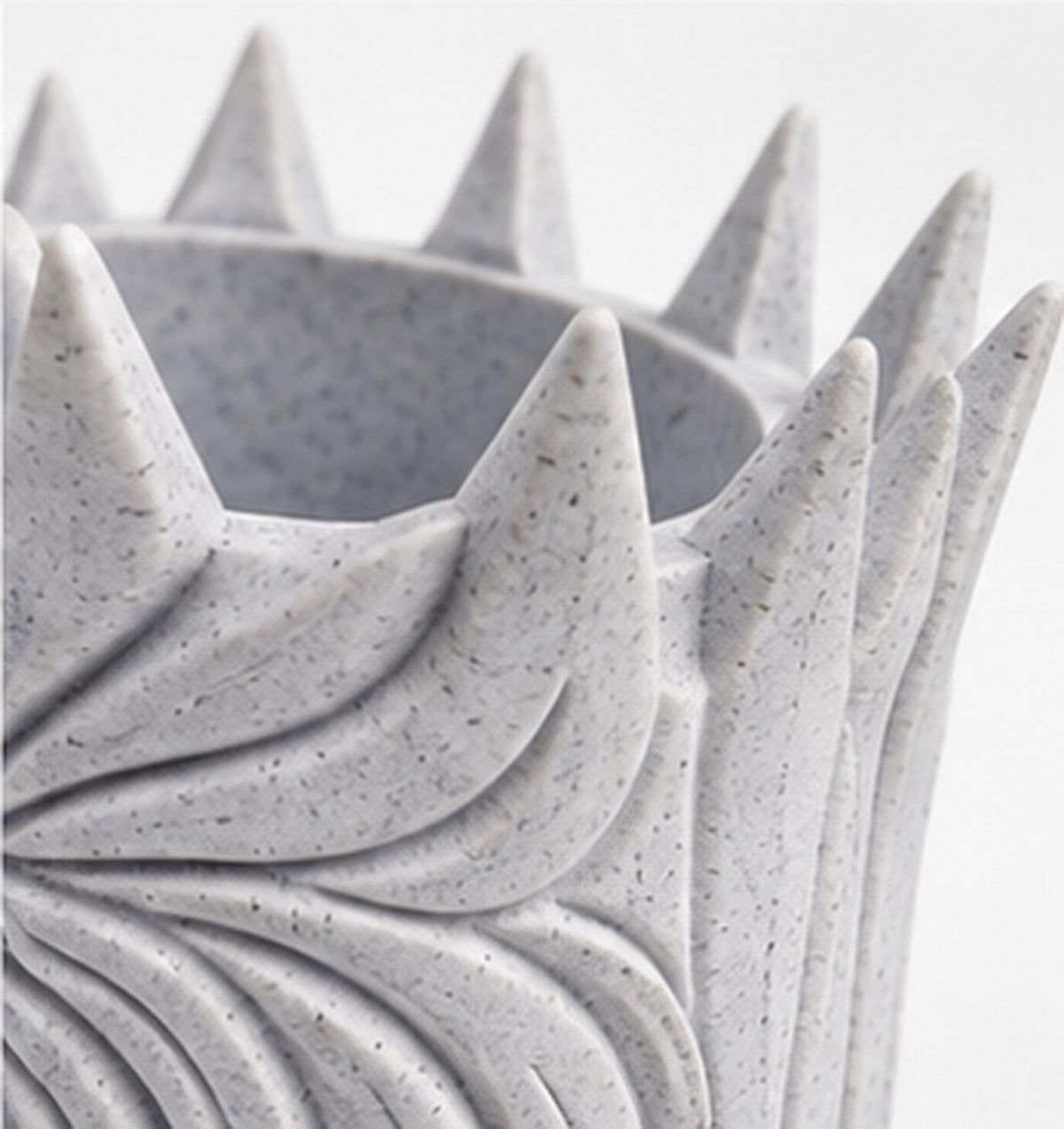 Close-up of the crown spikes and mane strands