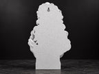 Back of the Aphrodite bust showing the keyhole slot