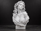 Right angle of the Aphrodite statue showing drapery