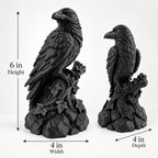 Dimension photo of the 6 in. raven statue: 6 in. high, 4 in. wide, 4 in. deep